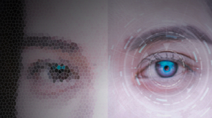 Static biometric verification