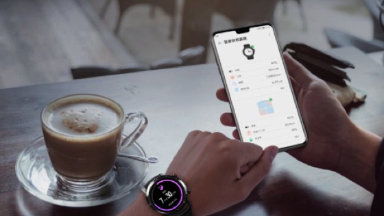 Wearables status monitoring