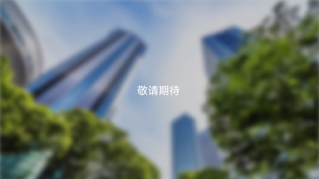 更多项目