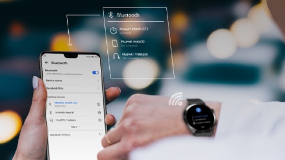 穿戴设备信息查询