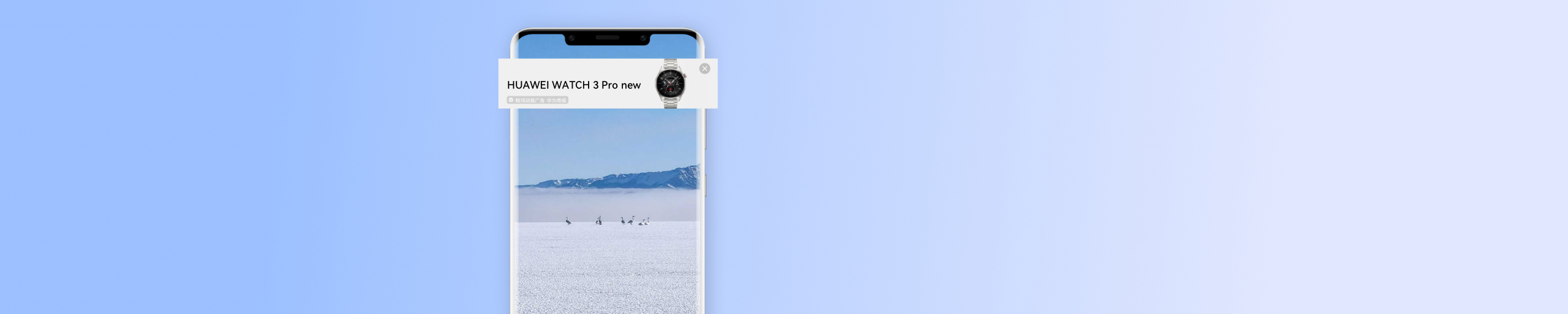 Banner